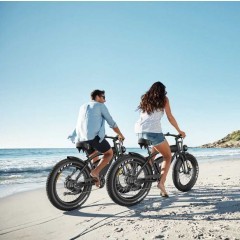 Hidoes B3 Rower elektryczny 1200W 48V18,2AH 26" 50km/H czarny