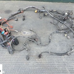 Wiazka Instalacja Silnika 2.0 TDI BRD 170KM Europa Manual Audi A4 B7 Seat Exeo