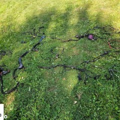 Wiazka Instalacja Wnetrza Europa 2.7 3.0 TDI Audi A4 B8 Kombi Avant Xenon PDC Bang & Olufsen