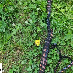 Wiazka Instalacja Wnetrza Europa 2.7 3.0 TDI Audi A4 B8 Kombi Avant Xenon PDC Bang & Olufsen