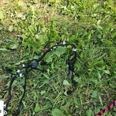 Wiazka Instalacja Wnetrza Europa 2.7 3.0 TDI Audi A4 B8 Kombi Avant Xenon PDC Bang & Olufsen