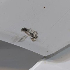 PRZEDŁUŻENIE DRZWI PRAWYCH MERCEDES ACTROS MP4 A9607201001