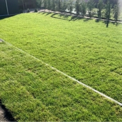 Trawa z rolki, cena za m2, z transportem i rozładunkiem.