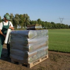 Trawa z rolki, trawnik, trawniki rolowane, trawa w rolce.