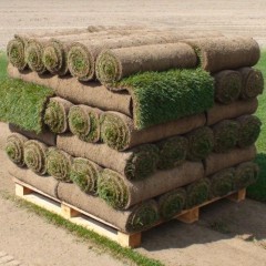 Trawa z rolki, cena za m2, z transportem i rozładunkiem.