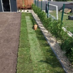 Trawa z rolki z certyfikatem, dostawa z rozładunkiem cała Polska,