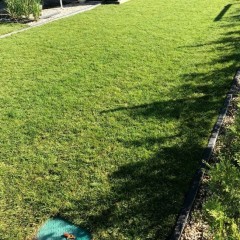 Trawa z rolki z certyfikatem, dostawa z rozładunkiem cała Polska,