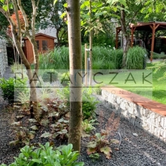 Gabiony ogrodowe i konstrukcyjne – na wymiar | Producent | Dostawa w całej Polsce