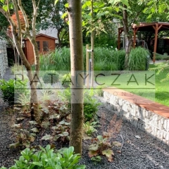 Gabiony ogrodowe i konstrukcyjne – na wymiar | Producent | Dostawa w całej Polsce