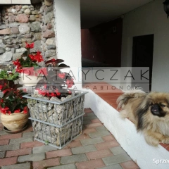 Gabiony producent – kosze gabionowe na wymiar, 5 lat gwarancji