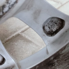 Felgi 17 Toyota Camry