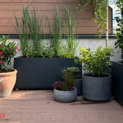 Donice z cortenu, stalowe malowane i gabionowe – producent | Na wymiar | Polska i Europa