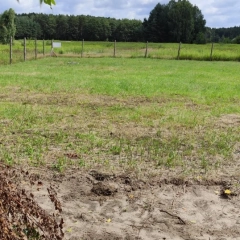 Działka budowlana Szczedrzyk 15 arów