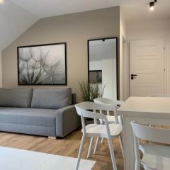 Domki , pokoje , apartenty . Wypocznij nad jeziorem z Apartamentami Orla .