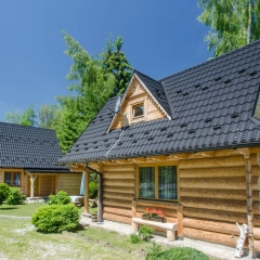 https://www.olx.pl/d/oferta/domek-goralski-z-kominkiem-witow-zakopane-CID1816-IDFxLIZ.html?bs=olx_pro_listing