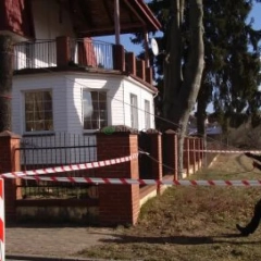 Sekcyjna ścinka drzew
