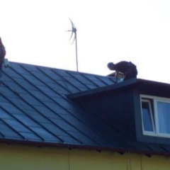 Usługi dekarskie