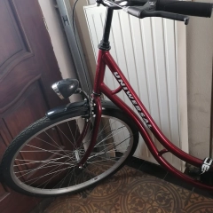 Rower na sprzedaż 
