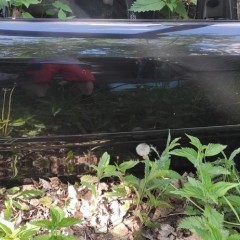 CABRIO A4B6 Drzwi Prawy Przód LZ9W Auto Części Audi Blask Gołdap A6C5